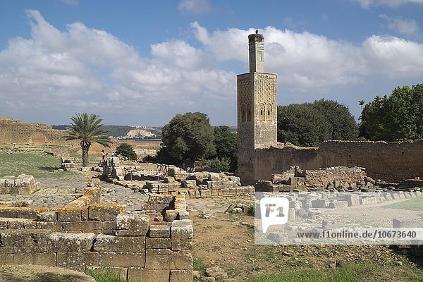 Ruinen und Minarett der ehemaligen islamischen Schule Zaouia  Totenstadt Nekropole Chellah  Rabat  Provinz Rabat  Marokko  Afrika