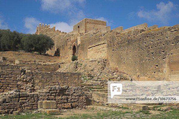 Ruinen der Totenstadt Nekropole Chellah  Rabat  Provinz Rabat  Marokko  Afrika