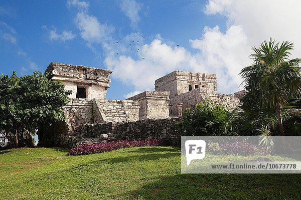 Stein Ruine Palast Schloß Schlösser Mexiko Mittelamerika Quintana Roo Tulum