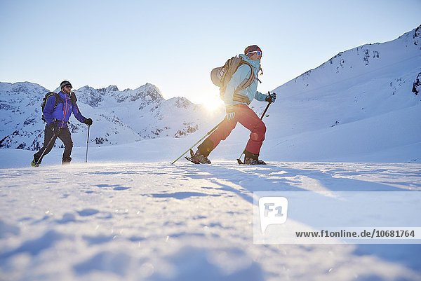 Zwei Skitourengeher beim Aufstieg  Kühtai  Tirol  Österreich  Europa