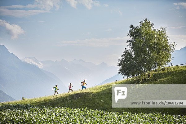 Woman and two men running up hill  Rosengarten  Stubai Alps behind  Tyrol  Austria  Europe