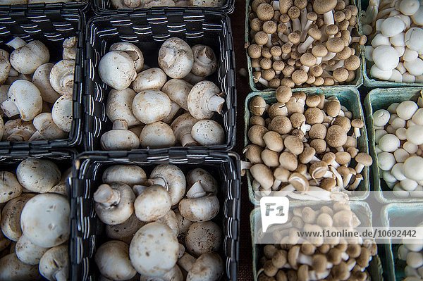 Baskets of mushrooms at a farmers market.
