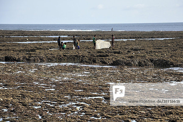 Indonesien  Insel Sumba  Strand Pero  Arbeiter