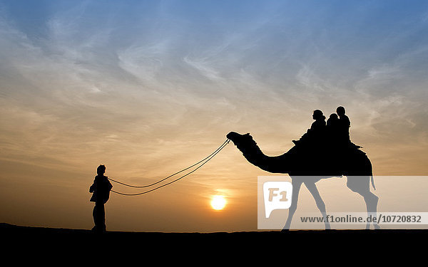 India  Rajasthan  Jaisalmer  camel ride desert