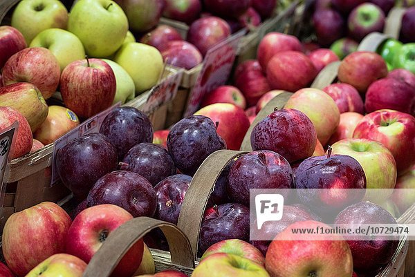 zeigen Vielfalt Apfel Landwirtin Markt