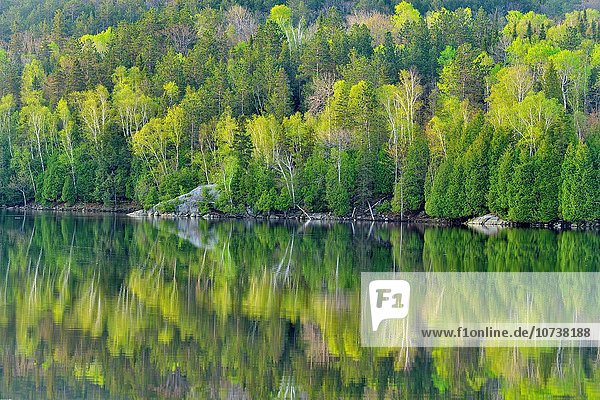 Spiegelung See Greater Sudbury Kanada Ontario Reflections