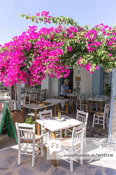 Greece  Cyclades Islands  Mykonos Island  Ano Mera village  restaurant