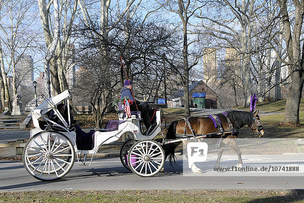 USA  New York  carriages in Central Park