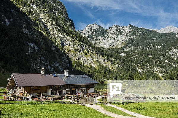 Saletalm  Königssee  Nationalpark Berchtesgaden  Berchtesgadener Land  Oberbayern  Bayern  Deutschland  Europa