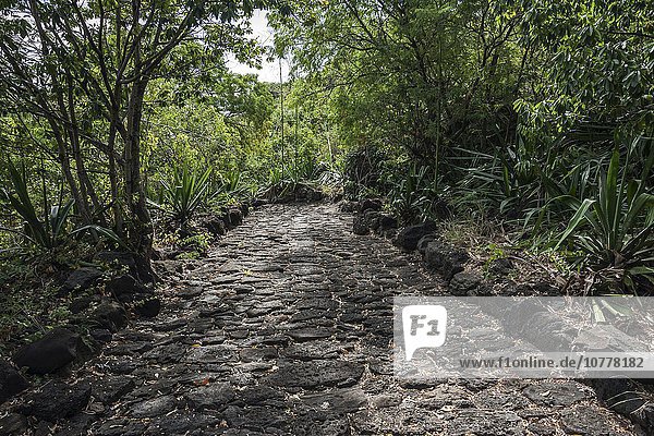 Alter Pflasterweg  ehemaliger Kutschenweg  Chemin des Anglais  zwischen Le Port und St. Denis  La Réunion  Frankreich  Europa