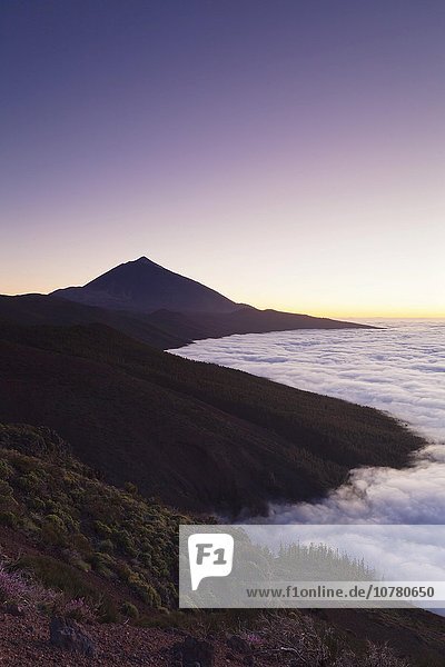 Vulkan Pico del Teide bei Sonnenuntergang  Passatwolken  Nationalpark Teide  Teneriffa  Kanarische Inseln  Spanien  Europa