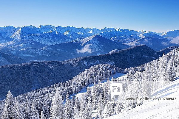 Verschneiter Berghang am Brauneck bei Lenggries  Isarwinkel  hinten das Karwendelgebirge  Bayerische Voralpen  Oberbayern  Bayern  Deutschland  Europa