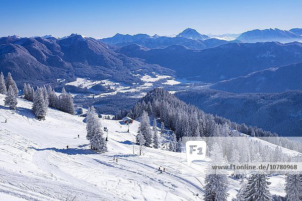 Brauneckalm  Skigebiet Brauneck bei Lenggries  Isarwinkel  Bayerische Voralpen  Oberbayern  Bayern  Deutschland  Europa