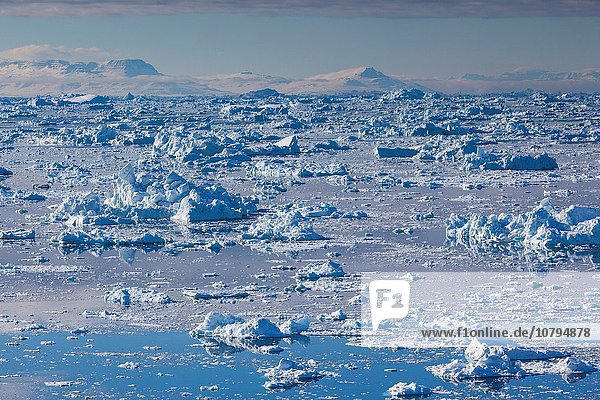 fließen, Eis, Ansicht, Erhöhte Ansicht, Aufsicht, heben, Diskobucht, Disko-Bucht, Grönland, Ilulissat