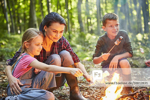 Lagerfeuer,Wald,rösten,Marshmallow