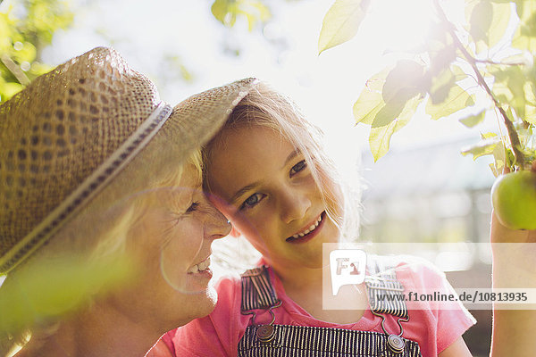 Portrait,lächeln,Enkeltochter,Großmutter,Garten,Sonnenlicht