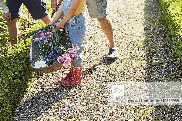 Familie pflückt Blumen im Garten