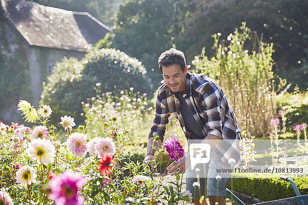 Mann beschneidet Blumen im sonnigen Garten