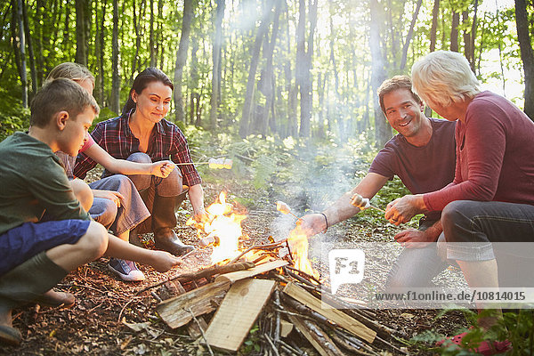 Lagerfeuer,Wald,rösten,Marshmallow