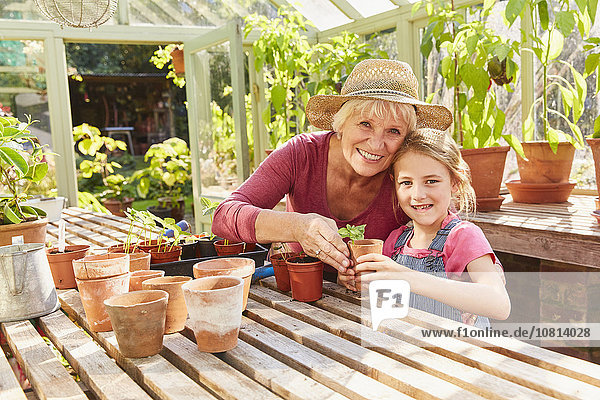 Portrait smiling grandmother and granddaughter potting plants in greenhouse