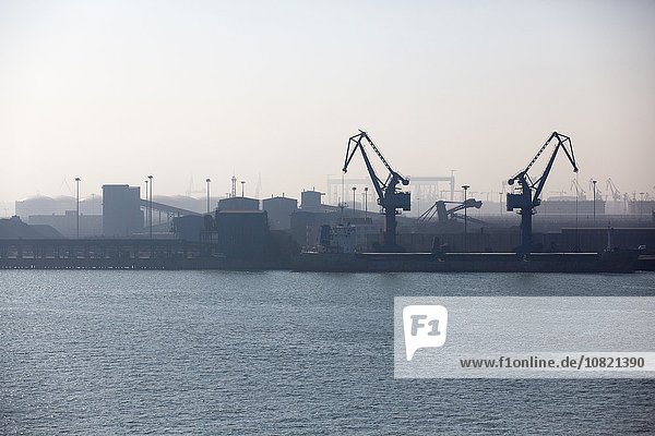 Kräne und Container im Hafen