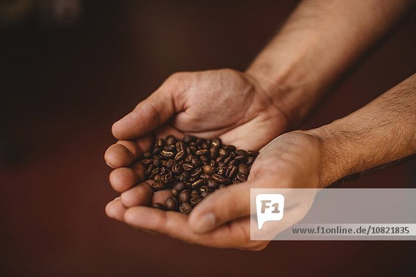 Kaffeebohne,Mann,halten,Close-up,Kaffee,Bohne