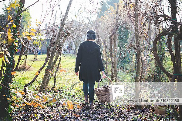 Full length rear view of young woman in garden walking among trees carrying wickerwork basket