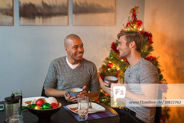 Male couple sitting at table  having breakfast together  Christmas tree in background