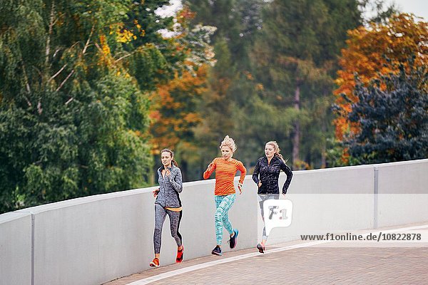 Drei Läuferinnen  die entlang der Parkstraße laufen.
