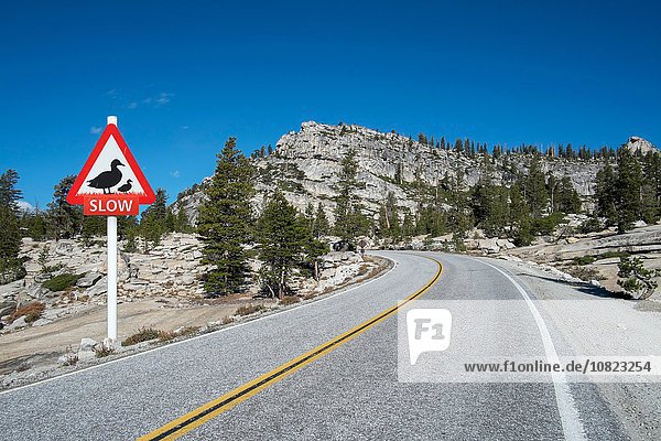Mountain Highway Warnschild für langsame Enten,  Olmsted Point,  Yosemite National Park,  Kalifornien,  USA