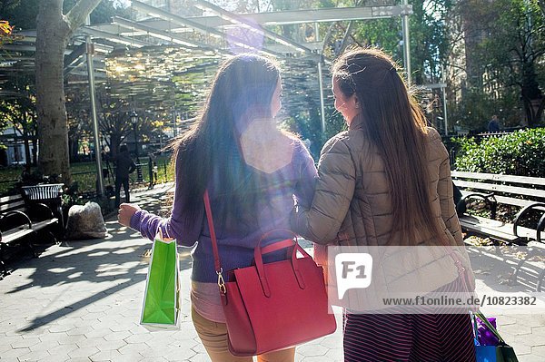 Rückansicht der jungen erwachsenen Zwillinge  die mit Einkaufstaschen im Park spazieren gehen.