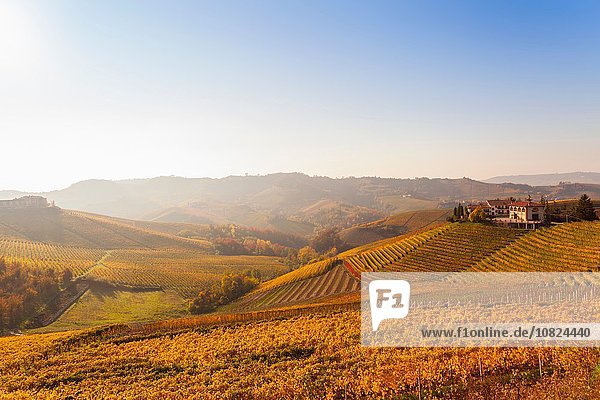 Landschaftsblick mit herbstlichen Weinbergen und Hügeldorf  Langhe  Piemont  Italien