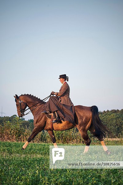 Woman riding and training dressage horse in field