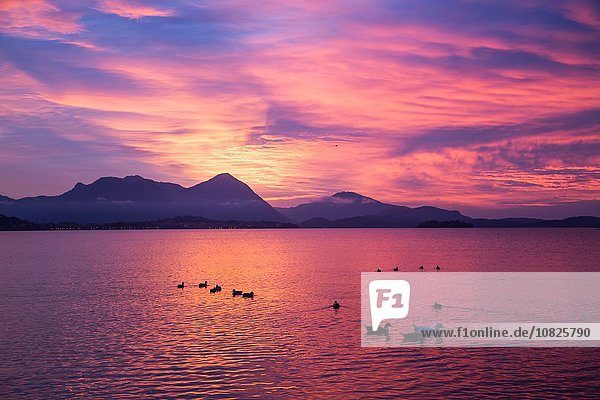Rosa Himmel bei Sonnenuntergang  Lago Maggiore  Piemont  Lombardei  Italien
