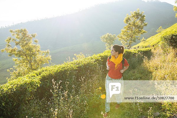 Junge Frau auf Teeplantagen bei Munnar  Kerala  Indien