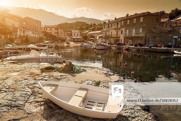 Fischerboote im traditionellen Hafen  Centuri  Korsika  Frankreich