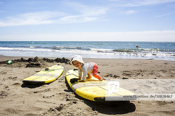 Kaukasisches Baby krabbelt auf Surfbrett
