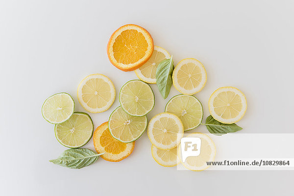 Scheiben von Orangen  Zitronen und Limetten