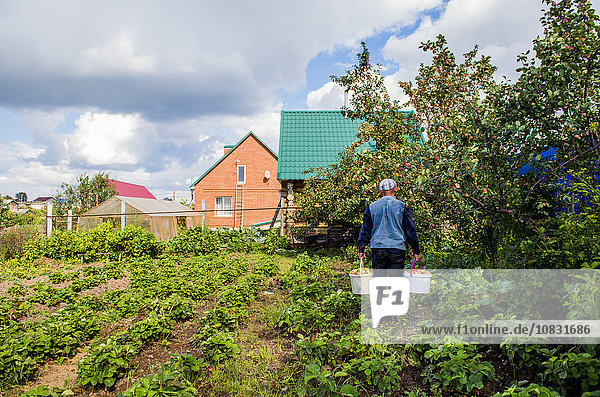 Kaukasischer Bauer arbeitet im Garten