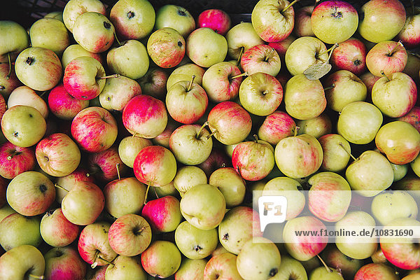 Close up of pile of apples