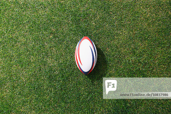 Rugby ball on grass