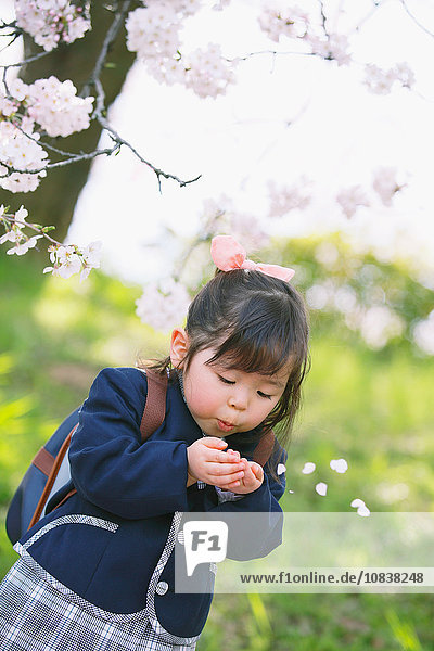 Junges lächelndes japanisches Mädchen genießt die Kirschblüten in einem Stadtpark