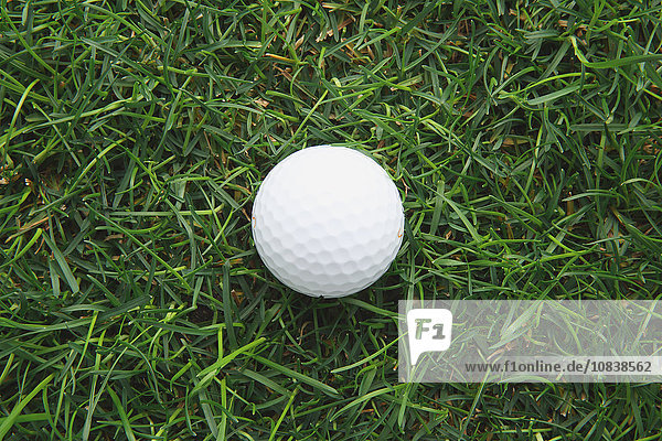 Golfball auf Gras