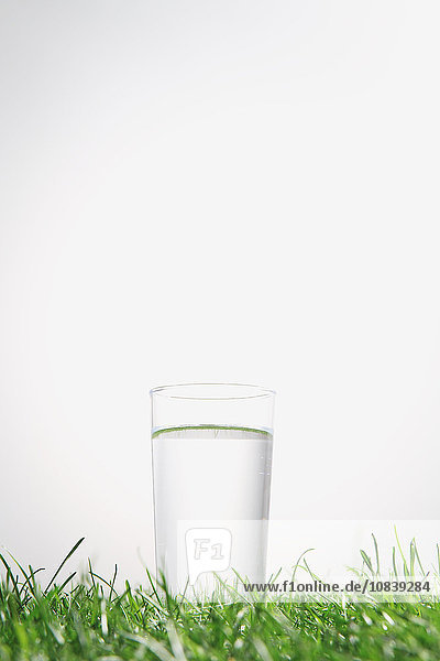 Glas Wasser auf Gras