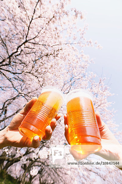 Mit Bier unter den Kirschblüten anstoßen