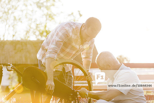 Vater und erwachsener Sohn reparieren Fahrrad
