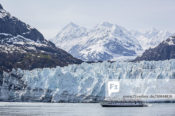 A tourist ship explores the Lamplugh Glacier in Glacier Bay National Park and Preserve  southeast Alaska  United States of America  North America