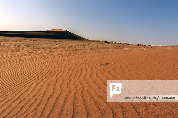 Die Formen des Sandes  der ständig vom Wind geformt wird  Deadvlei  Sossusvlei  Namib-Wüste  Namib-Naukluft-Nationalpark  Namibia  Afrika