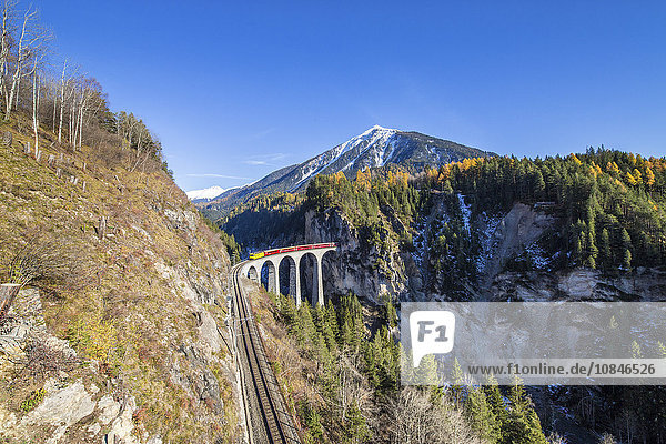 Bernina Express fährt über den Landwasser Viadukt  umgeben von bunten Wäldern  Kanton Graubünden  Schweiz  Europa