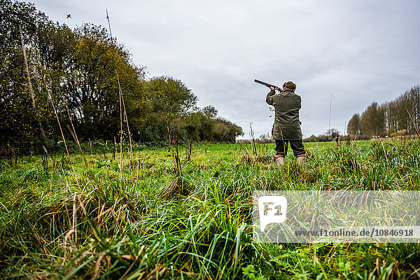 Gun shooting at bird on Driven pheasant shoot  Wiltshire  England  United Kingdom  Europe